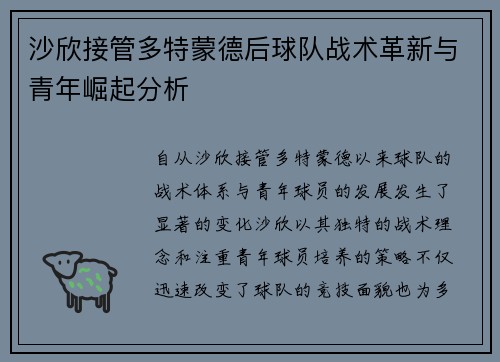 沙欣接管多特蒙德后球队战术革新与青年崛起分析 沙欣接管多特蒙德后球队战术革新与青年崛起分析